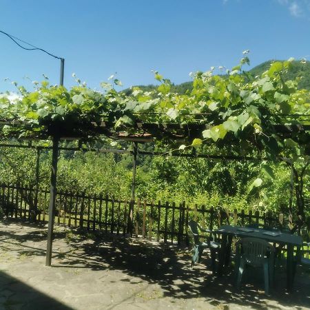 Appartamento Nel Verde Сан Марчело Пистойезе Екстериор снимка